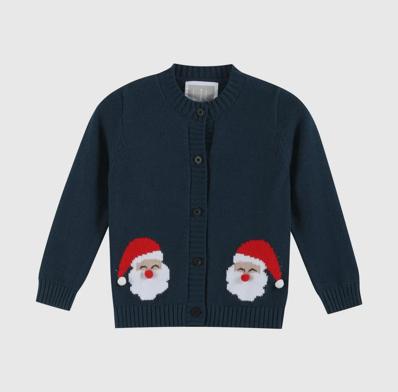 Blue Santa Sweater